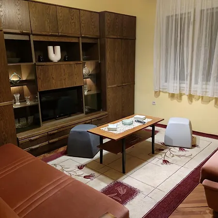 Apartment Popovic Ivanjica